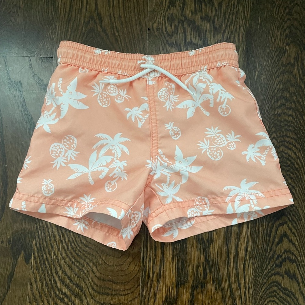 JANIE AND JACK SWIM bathing suit, size 2T